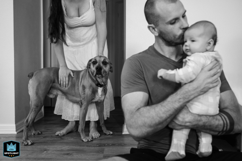 In this photo taken by a professional family photographer in Sarasota, Florida, a father and baby are shown in a close and affectionate moment, while their beloved dog is also prominently featured.